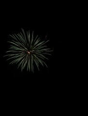 Fototapeta premium 打上げ花火