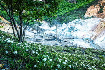 the various landscapes of a volcanic valley