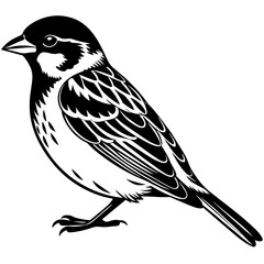 illustration of a bird