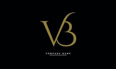 VB, BV, V, B Abstract Letters Logo Monogram