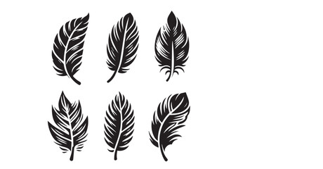 Fototapeta premium silhouette Feather Set icon type, distinct feather logo position, isolated on a white background