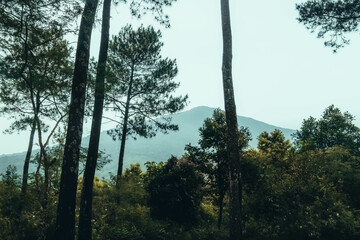 photo of Mount Ciremai during morning camping