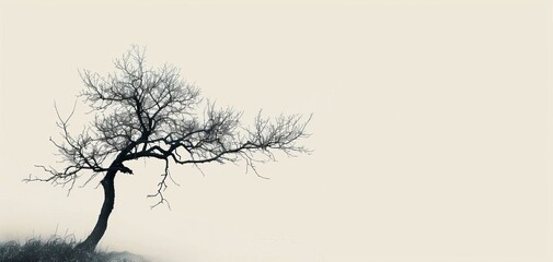 Obraz premium A solitary, barren tree stands starkly against a pale, foggy background, evoking feelings of solitude and resilience in nature's minimalist beauty.