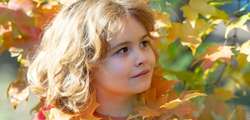 Fototapeta premium The Autumn. Close up portrait of little child playing with autumn leaves in the autumn park. Happy child hold maple leaves. Fall of the leaves. Close up kids face on Autumn background.