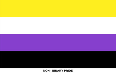 Obraz premium Flag of NON - BINARY PRIDE, NON - BINARY PRIDE flag