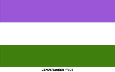 Flag of GENDERQUEER PRIDE, GENDERQUEER flag