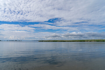Panoramic view onto the lake of constance with reed and blue sky with clouds