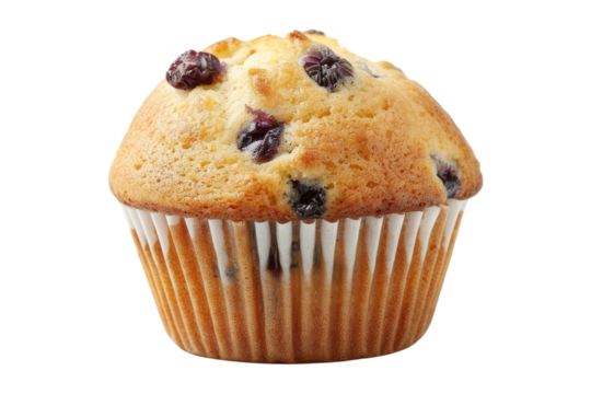 Blueberry Muffin - Powered by Adobe