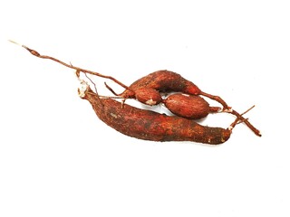 Cassava isolated on white background.