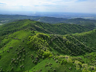 A mountainous area with different green vegetation. The view from the drone.
