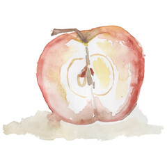 Watercolor apple on a white background