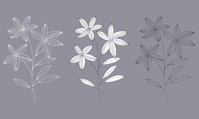 Black and white cute flowers. Hand-drawn vector illustration for wallpaper, cards. Doodle style.