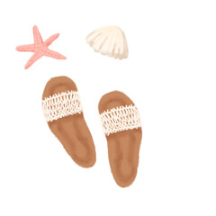 starfish and shells