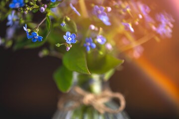 bouquet of blue forget-me-nots in a glass vase. congratulation, beautiful card for birthday,...