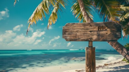 Highlight the potential for adventure with an image showcasing an empty wooden signboard affixed to a palm tree on a pristine tropical beach.
