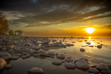 Obraz premium Baltic sea coast with stones and green seaweed