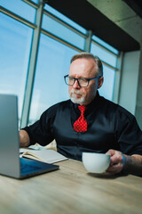 Gray-haired stylish freelancer man, gray-haired businessman at workplace in office. Adult bearded...