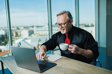 Gray-haired stylish freelancer man, gray-haired businessman at workplace in office. Adult bearded...