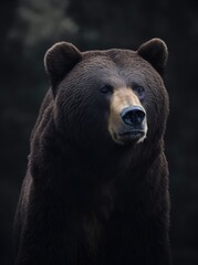 Front view of brown bear