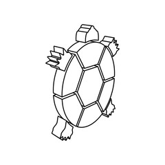 Fototapeta premium The outline of a large turtle symbol is made with black lines. 3D view of the object in perspective. Vector illustration on white background