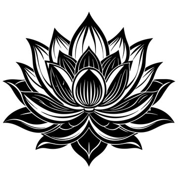 lotus-flower