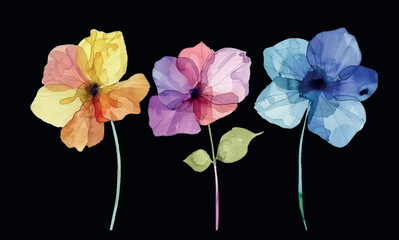 Fototapeta premium Watercolor clipart set, flowers isolated on background