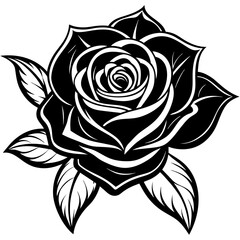 rose-flower-vector-illustration