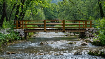 Obraz premium River with Wooden Bridge