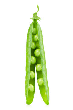 One fresh green pea pod, opened to reveal the peas inside, isolated on a transparent background