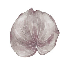 hand drawn leaves with watercolor illustration Red and grey tone,botanical