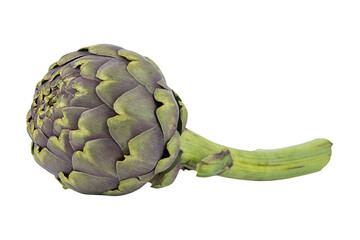Obraz premium Artichoke isolated on transparent background