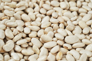 close up raw white bean food background texture