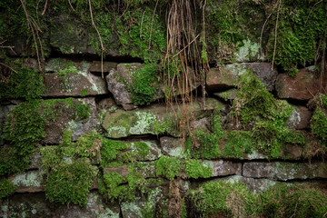 Fototapeta premium Background of old stone wall