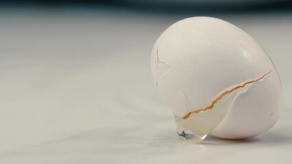 White farm fresh egg falling onto countertop and cracking in slow motion - Powered by Adobe