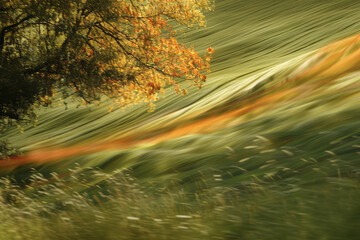 Flowing gradient curves in earthy browns and greens, creating a sense of natural harmony,