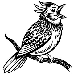 a-bird-is-sitting-on-branch-illustration-and-laugh