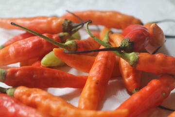 chilli. extra hot red chili. Red hot chili pepper isolated on white background. cooking flavoring. Chili cutting path.