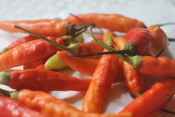 chilli. extra hot red chili. Red hot chili pepper isolated on white background. cooking flavoring. Chili cutting path.