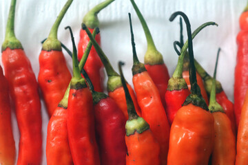 chilli. extra hot red chili. Red hot chili pepper isolated on white background. cooking flavoring. Chili cutting path.