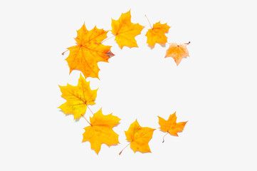 Autumn leaves background. Autumn composition made of seasonal autumn leaves on the white background with free space