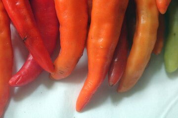 chilli. extra hot red chili. Red hot chili pepper isolated on white background. cooking flavoring. Chili cutting path.