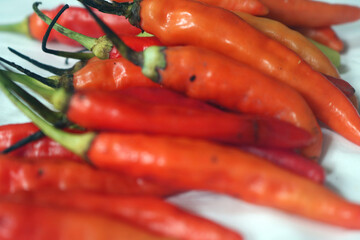 chilli. extra hot red chili. Red hot chili pepper isolated on white background. cooking flavoring. Chili cutting path.