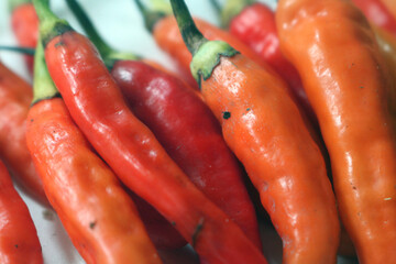 chilli. extra hot red chili. Red hot chili pepper isolated on white background. cooking flavoring. Chili cutting path.