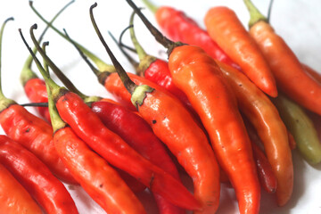 chilli. extra hot red chili. Red hot chili pepper isolated on white background. cooking flavoring. Chili cutting path.