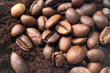 coffee beans. powder. cream. on a white background. the aroma of Sumatran coffee. arabica coffee. civet coffee. expensive and luxurious. drink lover