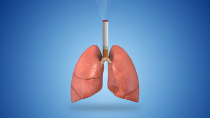 Damaged human lungs with a cigarette