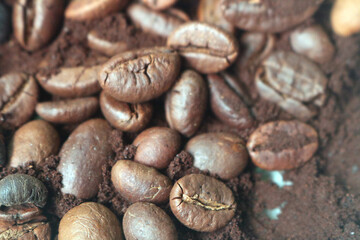 coffee beans. powder. cream. on a white background. the aroma of Sumatran coffee. arabica coffee. civet coffee. expensive and luxurious. drink lover