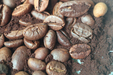 coffee beans. powder. cream. on a white background. the aroma of Sumatran coffee. arabica coffee. civet coffee. expensive and luxurious. drink lover