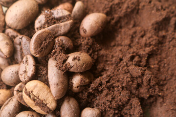 coffee beans. powder. cream. on a white background. the aroma of Sumatran coffee. arabica coffee. civet coffee. expensive and luxurious. drink lover