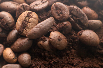 coffee beans. powder. cream. on a white background. the aroma of Sumatran coffee. arabica coffee. civet coffee. expensive and luxurious. drink lover